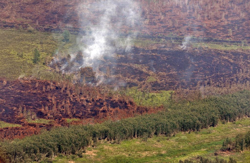 Tinjauan udara penanganan kebakaran hutan dan lahan di Kalimantan Selatan.